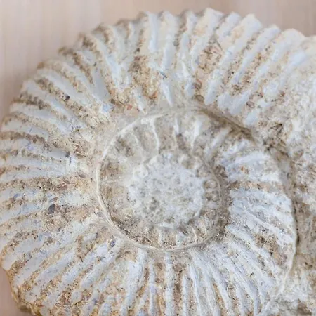 Nyaraló Petite Maison Chatelnanon A 250 Metres De La Châtelaillon-Plage